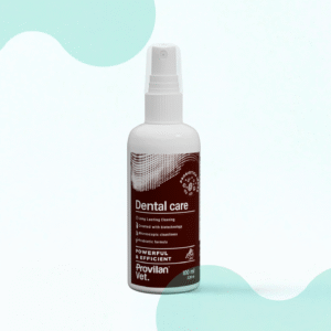 Dental Care
