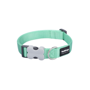 Bucklebone Pastel Green collar Large 25mm (.98 inches)