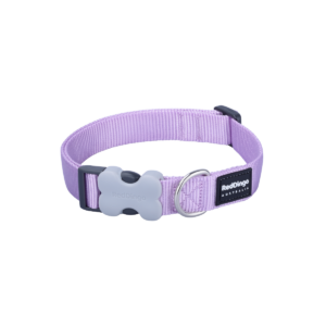 Bucklebone Pastel Purple collar Large 25mm (.98 inches)